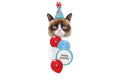 Grumpy Party Cat Birthday Balloon Bouquet